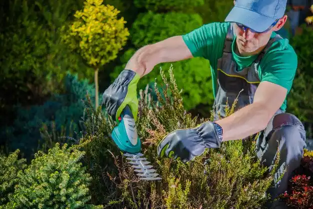 landscaping services Millington